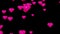 Pink valentines day hearts fall down on black background 3d render loop. Love concept, romantic, anniversary, mothers