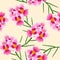 Pink Vanda Miss Joaquim Orchid. Singapore National Flower. on Ivory Beige Background. Vector Illustration.