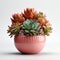 A pink vase filled with lots of succulents, clipart on white background