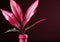 A pink vase with a plant in it. Generative AI image.