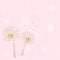 Pink vector background with gold dandelion.