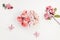 Pink velvet scrunchie and fresh spring red flowers on white background