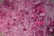 Pink very much striped panel plaster texture - nice abstract photo background