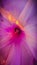 Pink,Violet & Purple Datura Flower