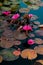 Pink water lillies in a natural pond in Trinidad and Tobago