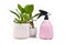 Pink water mist spray bottle for spraying houseplants to keep humidity up next to potted plant on white background