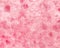 Pink Watercolor Abstract Background Illustration with Bright Hearts