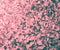 Pink Watercolor Military Wallpapers. Red Grunge Texture.