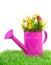 Pink watering can with colorful tulips