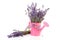 Pink watering can with plucked lavender