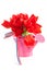 Pink watering can with red Dutch tulips