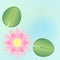 Pink waterlily background