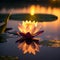 Pink waterlily on a calmful pond at sunset golden hour