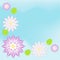 Pink waterlily card background