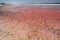 The pink waters of Hutt Lagoon. Port Gregory. Western Australia. Australia