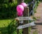 Pink wedding balloons and retro car parking signs