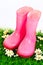 Pink wellingtons