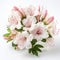 Pink And White Azalea Bouquet On White Background
