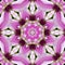 Pink and White Clematis Blossom Kaleidoscope