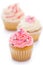 Pink and white cupcakes