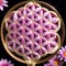 Pink and white flower petals in a circular Flower Of Life shape.