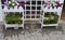 Pink and white flowers in a white wooden flowerbed