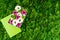 Pink, white and green flowers in a gift box on green background, top view, flat. Copyspace for text.