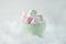 Pink and white heart shaped marshmallows in mint green cup with fuzzy white fur underground HR SF