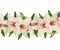 Pink and white lilies seamless line