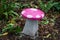Pink and white painted stone mushroom seat in enchanted fairy garden in the woods.