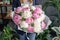 Pink and white peonies in womans hands. Beautiful peony flower for catalog or online store. Floral shop concept