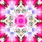 Pink White Seamless Pattern Art