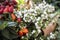 Pink white snowberry, yellow chrysanthemums