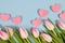 Pink and white tulip flowers and pink Valentine paper hearts on blue background