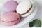 Pink, white and violet Macaroons close-up in white plate, spring green petals, tender pastel background. Soft focus