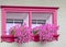 Pink window frame with petunias in window box