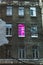Pink window phyto lamp growing flowers in the city