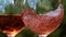 Pink Wine being poured into Glass