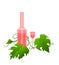 Pink wine bottle and wineglass among grape leaves