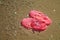 Pink Women`s JELLY SANDALS on a sea shore. LADIES FLAT JELLIES SUMMER BEACH SHOES.