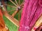 Pink Yarn With Spinning Wheel