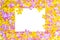 Pink and yellow color orchids with blank white square space for text.