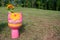 Pink and Yellow Painted Toilet Outside in a Field with Flowers