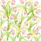Pink Yellow Spring Tulips Background