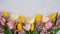 Pink Yellow Spring Tulips Flower Border. A background border Generated image