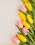 Pink Yellow Spring Tulips Flower Border. A background border Generated image