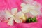 Pink yellow white gold Christmas background golden white hibiscus flowers and white tinsel green leaves soft background
