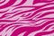 Pink Zebra print. Stripes, animal skin, tiger stripes, abstract pattern, line background. Black and white vector monochrome