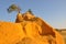Pinnacle Desert Sand Hill Closeup: Western Australia