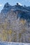 Pinnacle Ridge with Aspen Trees Back Lit